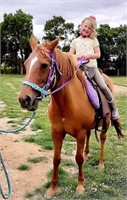 (VIC): RUBY -QH Mare