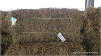 10 3rd Alfalfa Grass Mix