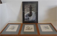 The Nature Collection 3 Framed Bird Pictures and