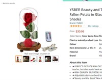 YSBER Beauty and The Beast Red Silk Rose