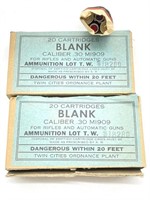 (24) Blank .30 Cartridges