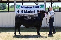 Reserve Champion Market Steer- Morgan Eisenga