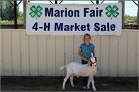 Market Goat- Kendel Workman