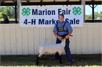 Grand Champion Market Lamb- Alex Johnson