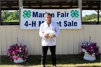 Reserve Champion Market Broilers- Wyatt Sikkema