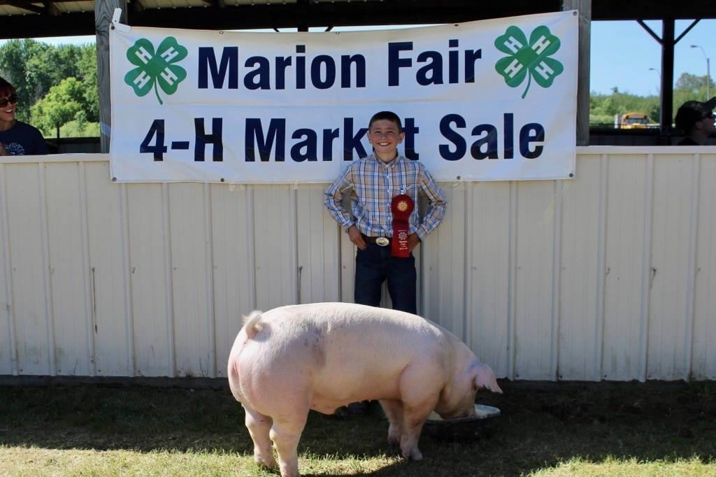 Marion Fair Auction