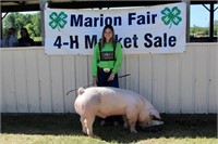 Market Swine- Tracy Clementshaw