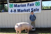 Market Swine- Brantley Eising