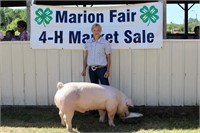 Market Swine- Britton Nowland