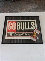 Chicago Bulls picture
