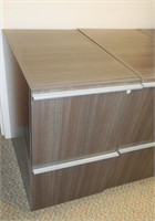 2 DRAWER ROLLING PEDESTAL FILE