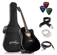 NEW Ashthorope acoustic electric guitar