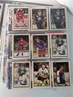 270 Cartes de Hockey