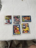 Ernie Irvan Cards