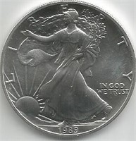 1989 American Silver Eagle Dollar