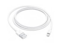 Apple Lightning to USB Cable (1