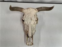 Vintage Steer Skull