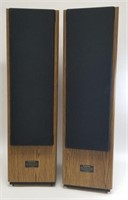 Pioneer S-T 300 180W Speakers