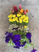 FLAT OF MIXED FLOWERS