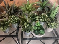 12PC ASSORTED GREENERY