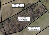 Tract # 13 –Approx. 6.8 acres of vacant land