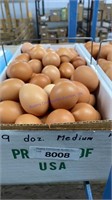 9 Doz Medium Brown Eating Eggs