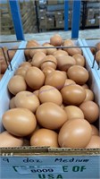 9 Doz Medium Brown Eating Eggs