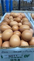 10 Doz  Small / Pullet Brown Eating Eggs
