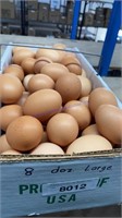 8 Doz  Large Brown Eating Eggs