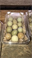 1.5 Doz Fertile Ringneck Pheasant Eggs W/ Permit
