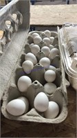 2 Doz Fertile Bobwhite Quail Eggs W/ Permit
