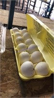 1 Doz Fertile Leghorn Mix Eggs