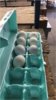7 Fertile Silkie / Showgirl Eggs