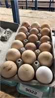 1 1/2doz Fertile Barnyard Mix Eggs