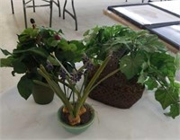 Pots w/plants