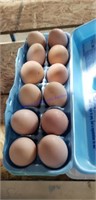 1 Doz Fertile Buff Orpington Eggs
