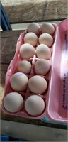 1 Doz Fertile Buff Orpington Eggs