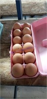 1 Doz Fertile Barred Rock Eggs