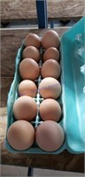 1 Doz Fertile Light Brahma Eggs