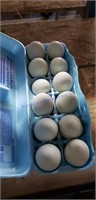 1 Doz Fertile Easter Egger Eggs