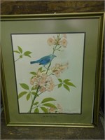Blue-Gray Tanager print by Don R. Eckelberry 1970