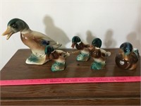 Royal Copley duck family