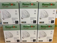 Box of 12 Renesola 17 Watt 3000K Warm White LED