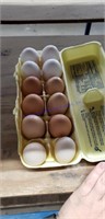 1 Doz Mixed Eating Eggs