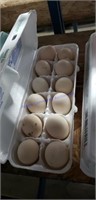 1 Doz Fertile Gray Silkie Eggs