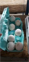 7 Fertile Heritage Turkey Eggs