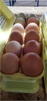 2 Doz Fertile Barnyard Mix Eggs