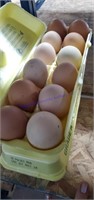 2 Doz Fertile Barnyard Mix Eggs