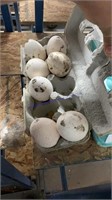 7 Fertile Broad Breasted Turkey Eggs