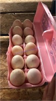 1 Doz Fertile Mix Duck Eggs